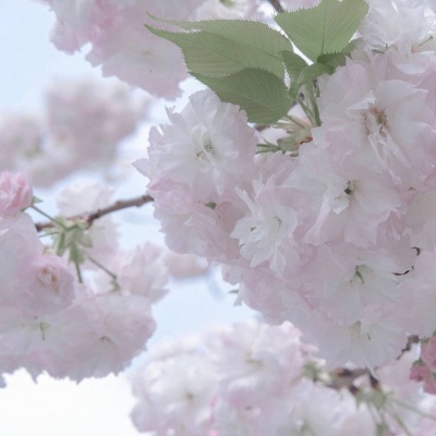 兽设家庭场景绘制Furry群